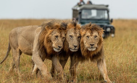 Nature & Wildlife