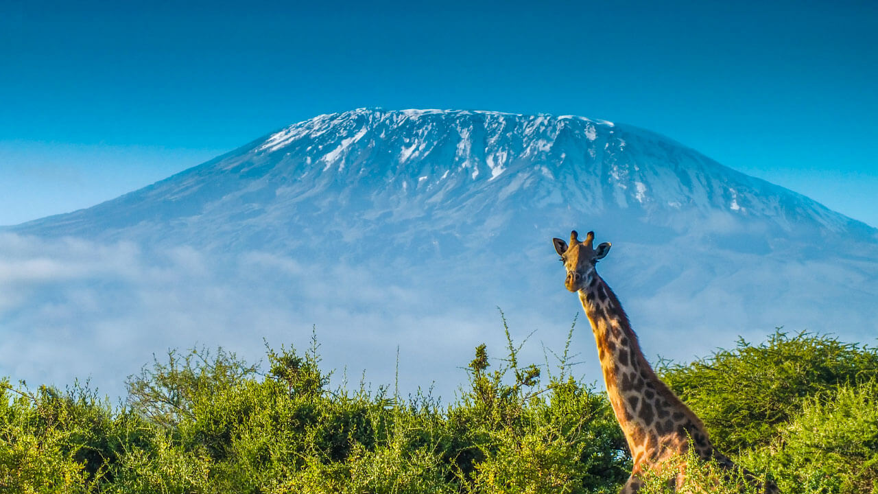 Mountain Tourism