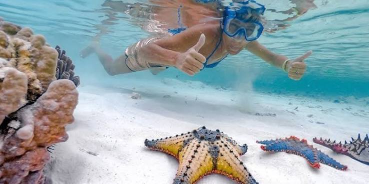 Mnemba Atoll Snorkeling & Dolphin Tour