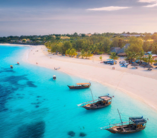 Sea & Island Tours