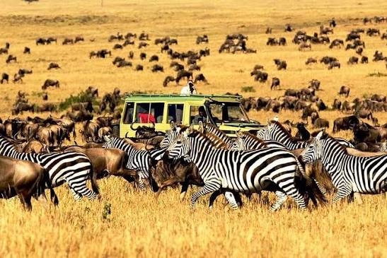 3 Days Serengeti & Ngorongoro Big 5 Safari